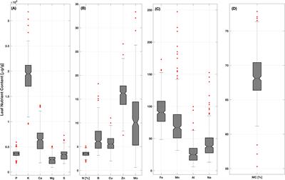 Utilizing VSWIR spectroscopy for macronutrient and micronutrient profiling in winter wheat